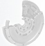 regeneracja k� dwumasowych Katowice
